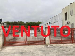 Corropoli, Via Ennio Flaiano 41 Artigianale