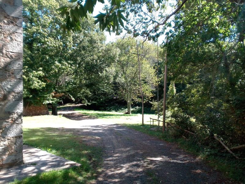 Castelnuovo di Val di Cecina (PI) - Località Varie - Terreni Agricoli