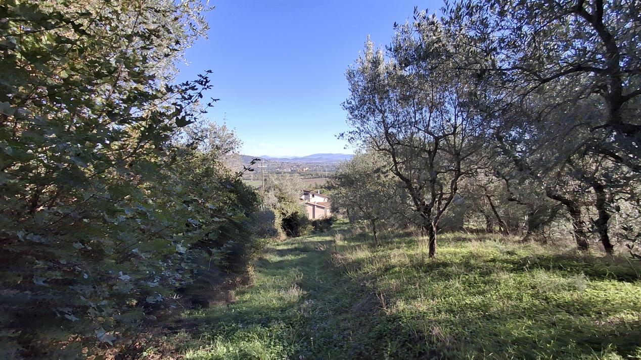 Piegaro (PG) - Vocabolo Arcisa, strada per Castiglion Fosco - Terreno Edificabile