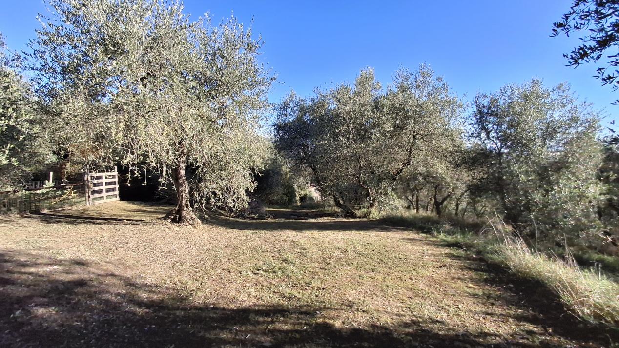 Piegaro (PG) - Vocabolo Arcisa, strada per Castiglion Fosco - Terreno Edificabile