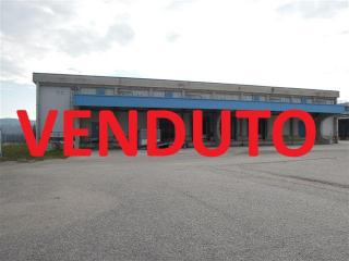 Mosciano S.Angelo (TE) Strada Prov.le 22 - Produttivo